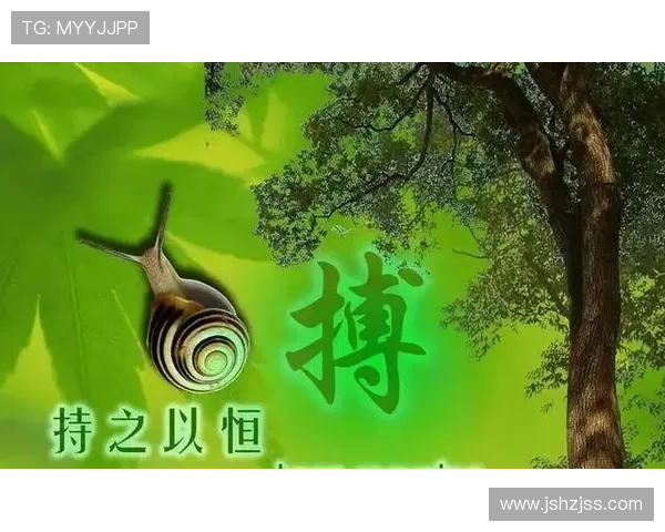 足球明星的励志语言激励我们追逐梦想与坚持不懈的精神之旅 足球明星的励志语言激励我们追逐梦想与坚持不懈的精神之旅