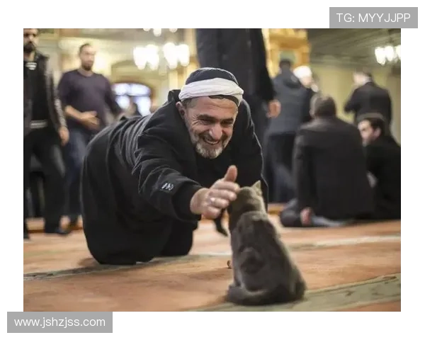 伊朗足球明星被杀事件引发国际关注与对人权状况的深思