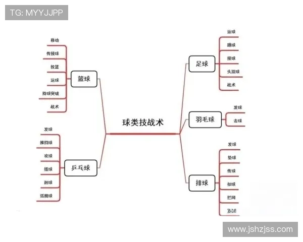 成都篮球队进攻战术解析与球队发展前景展望
